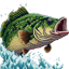 FishOnMC's icon