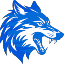 NAVELYA's icon