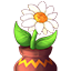 The Seed's icon