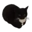 The New Deck's icon