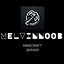 Melvinnoob SMP's icon