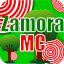 ZamoraMC - Network's icon