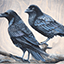 Corvid Crossing's icon