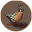 Quailiens's icon