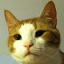 Catscraft's icon