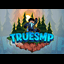 TrueSMP's icon