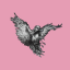 Ravenstale Survival's icon