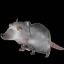 MaxLand SMP's icon