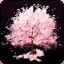 KOTACraft's icon