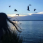 Spidermenis SMP's icon