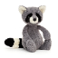 Raccoon SMP's icon