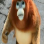 Crispy Vanilla's icon