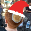 PAGCraft's icon