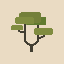 Canopymc's icon