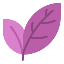 Cherry Blossom's icon