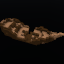 SkyBlock-SMP's icon